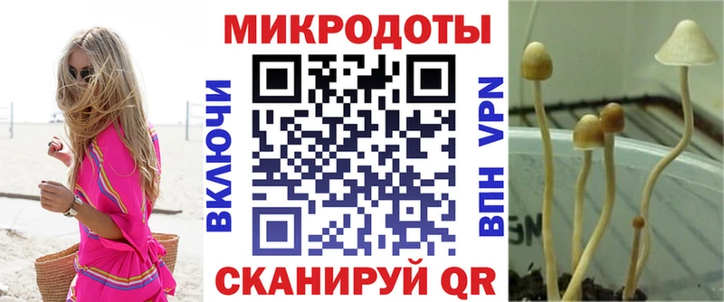 Купить закладки  Семилуки  Галлюциногенные грибы MAGIC MUSHROOMS 